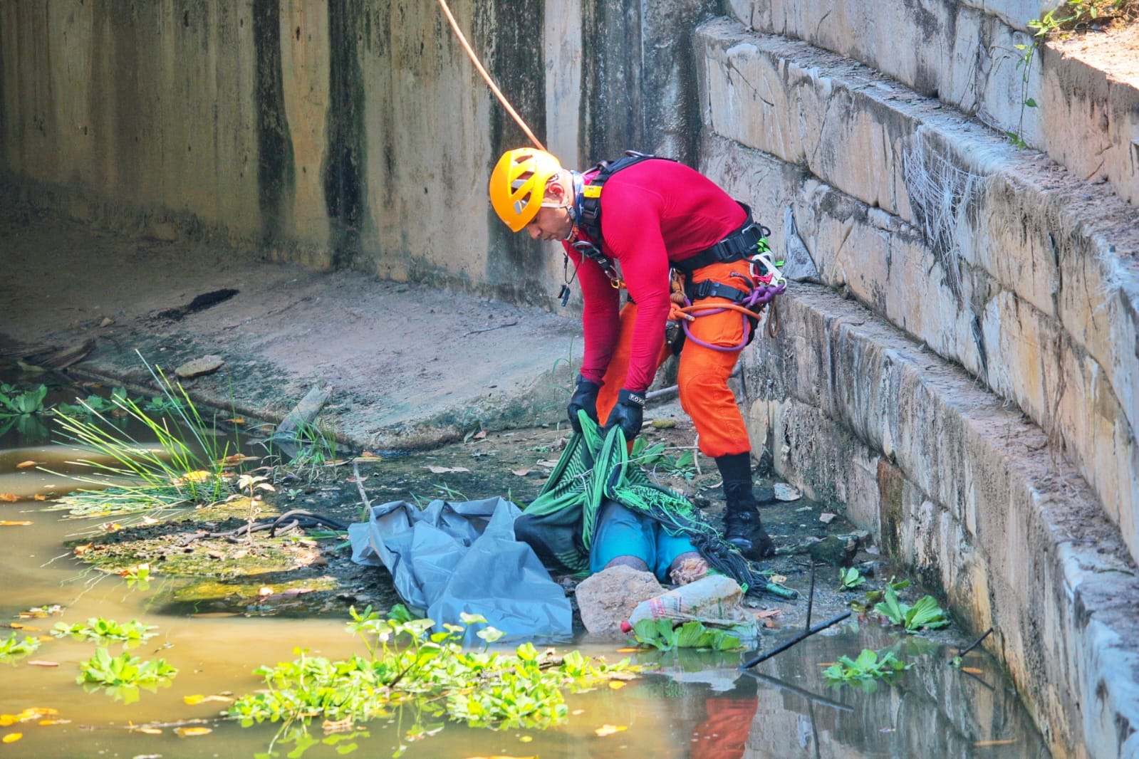 Foto: Jander Robson / Portal do Holanda