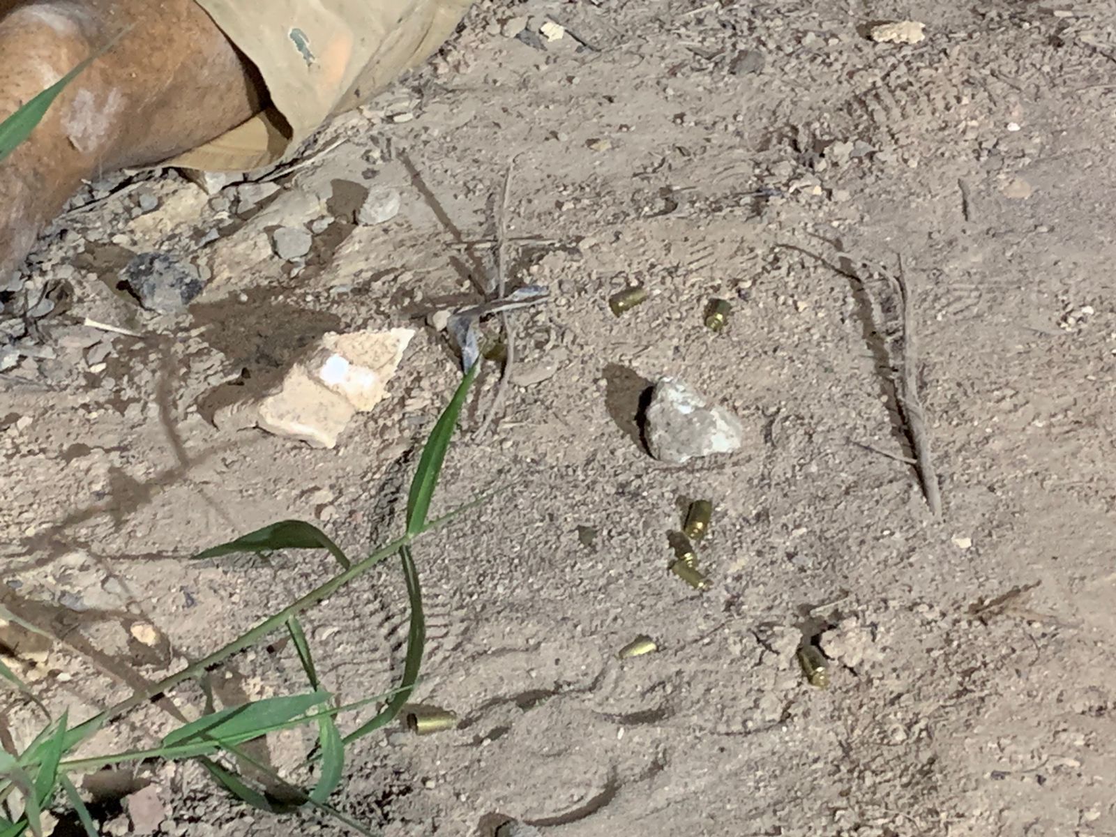 Foto: Caio Guarlotte / Portal do Holanda