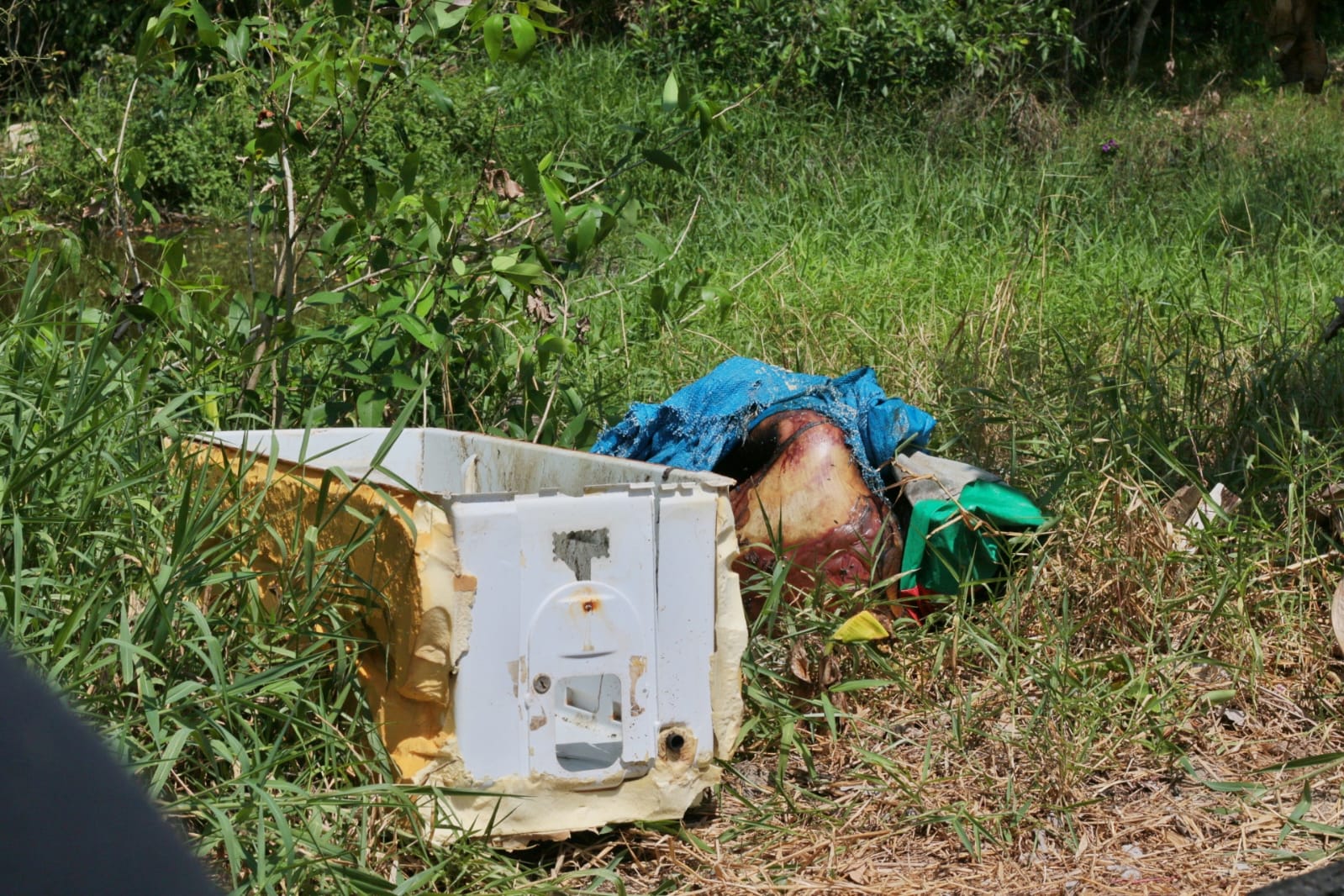 Foto: Jander Robson/Portal do Holanda