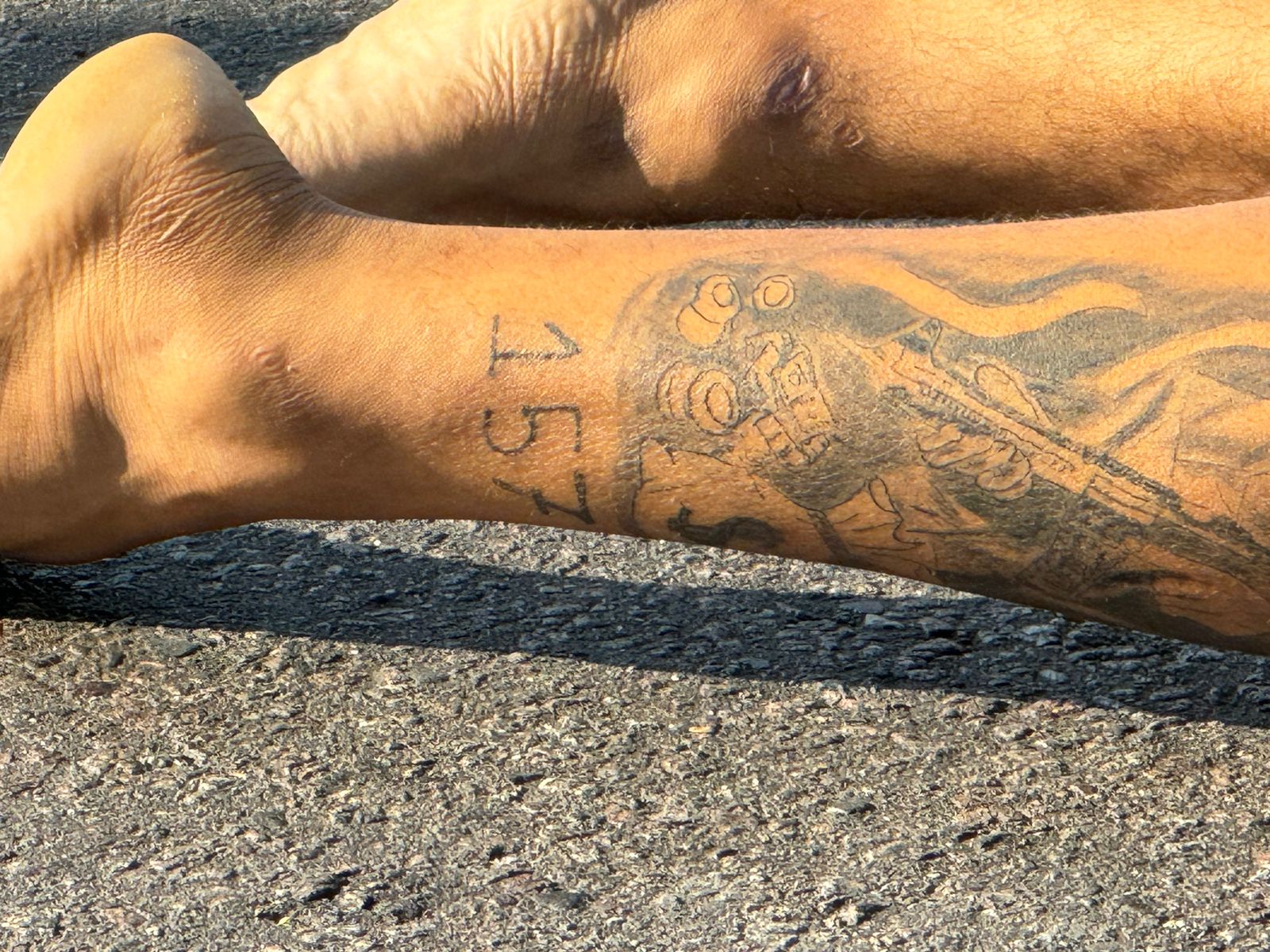 Foto: Neto Silva/Portal do Holanda