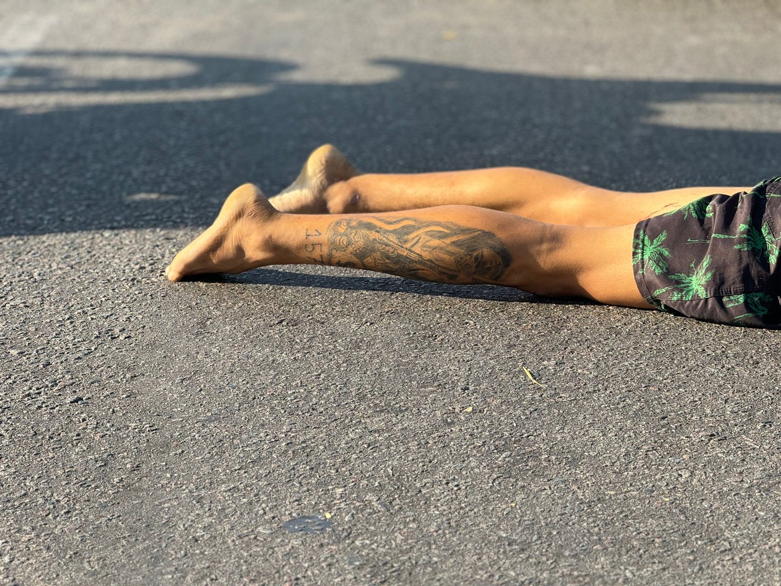 Foto: Neto Silva/Portal do Holanda