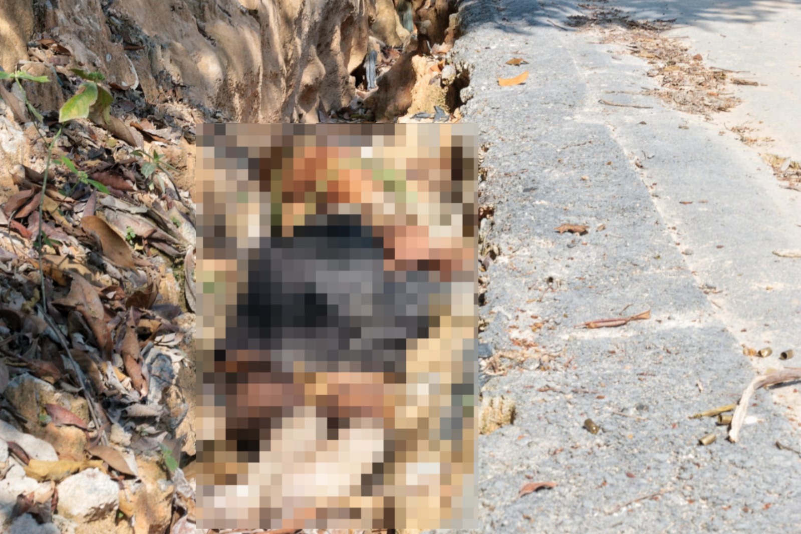 Foto: Jander Robson / Portal do Holanda