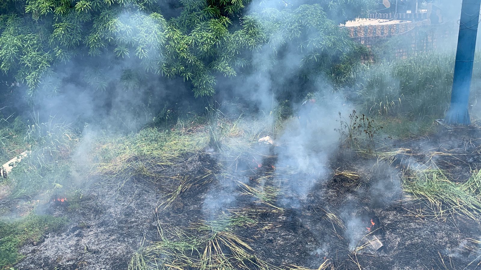 Foto: Caio Guarlotte/ Portal do Holanda 