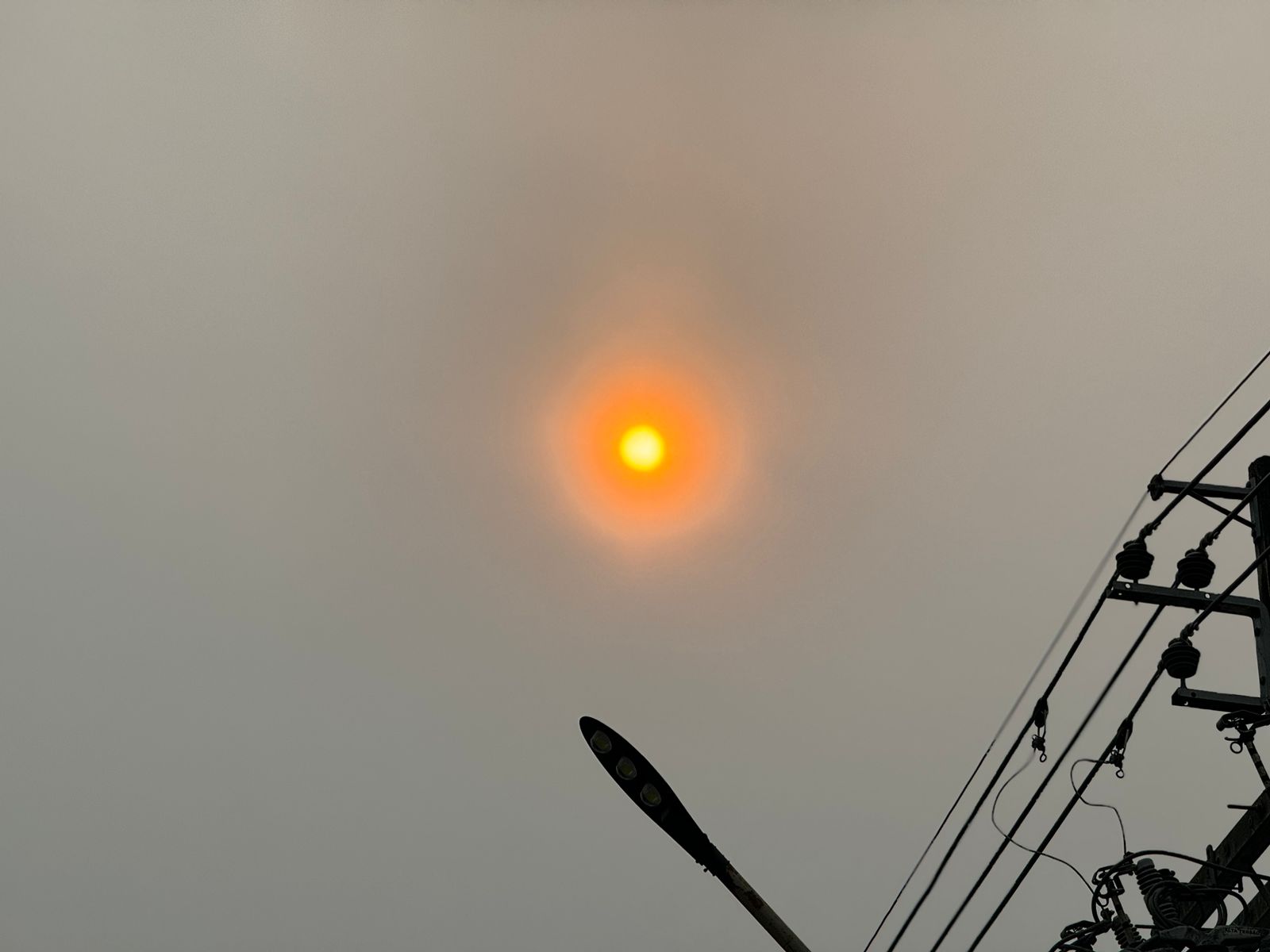 Foto: Neto Silva/Portal do Holanda