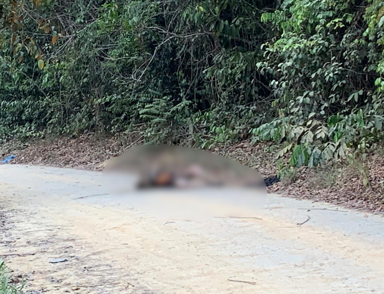 Foto: Caio Guarlotte / Portal do Holanda