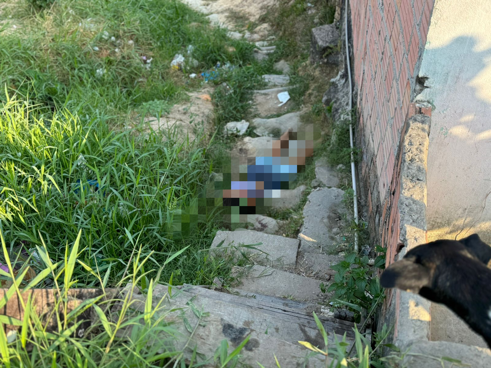 Foto: Netto Silva/Portal do Holanda