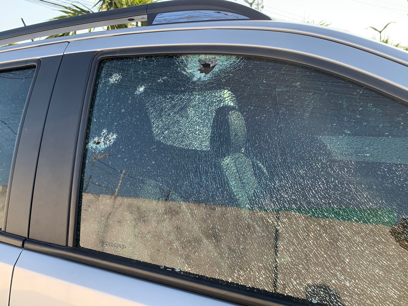 Foto: Caio Guarlotte / Portal do Holanda