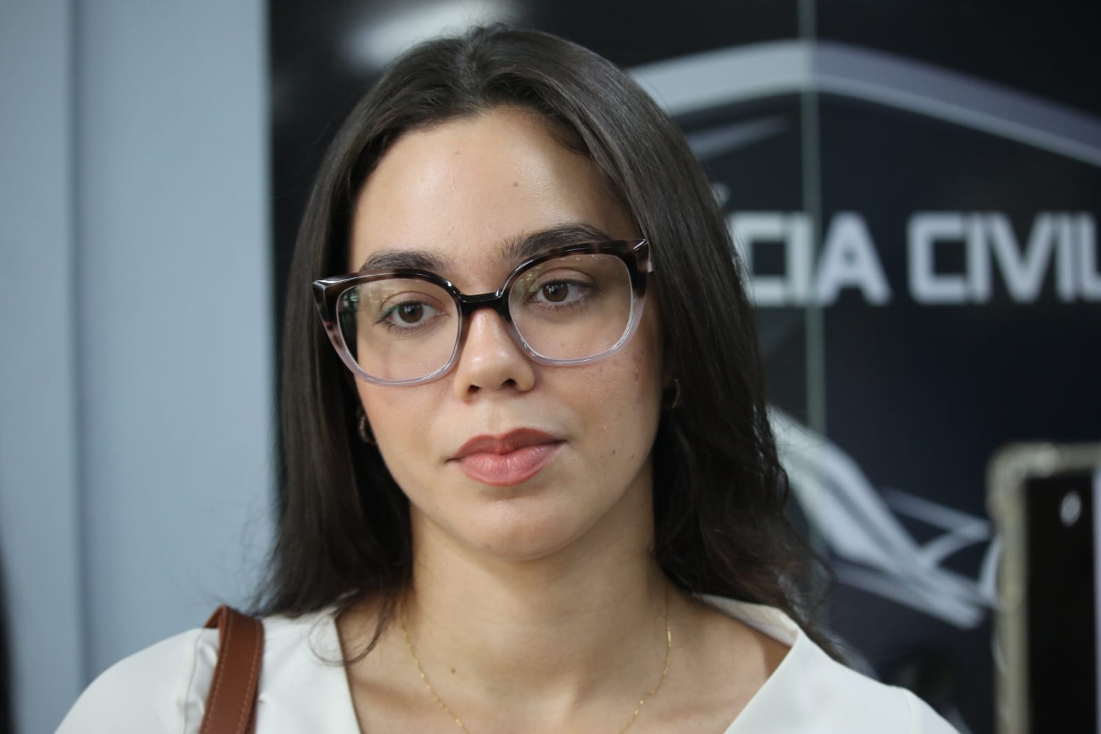 Advogada do acusado - Foto: Jander Robson/ Portal do Holanda