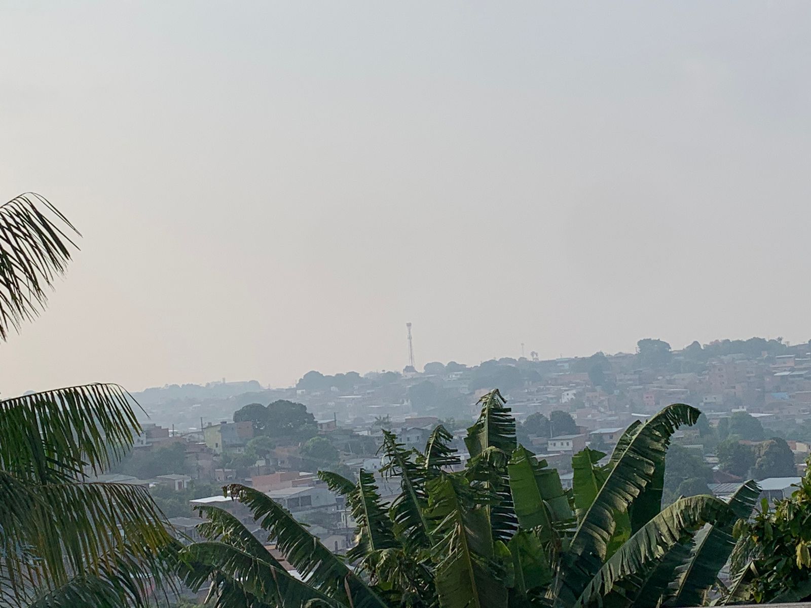 Foto: Caio Guarlotte/ Portal do Holanda 