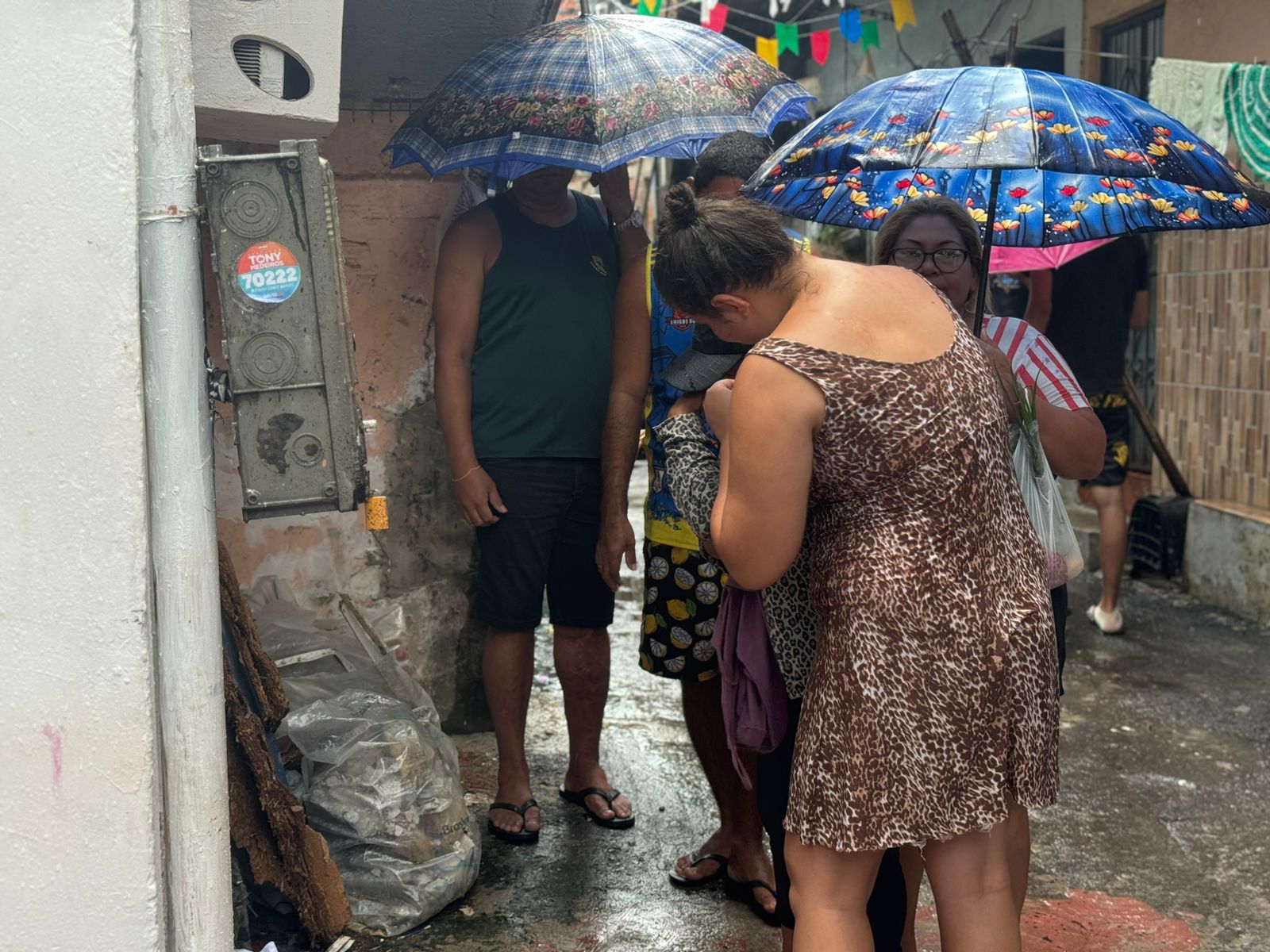 Foto: Neto Silva/Portal do Holanda