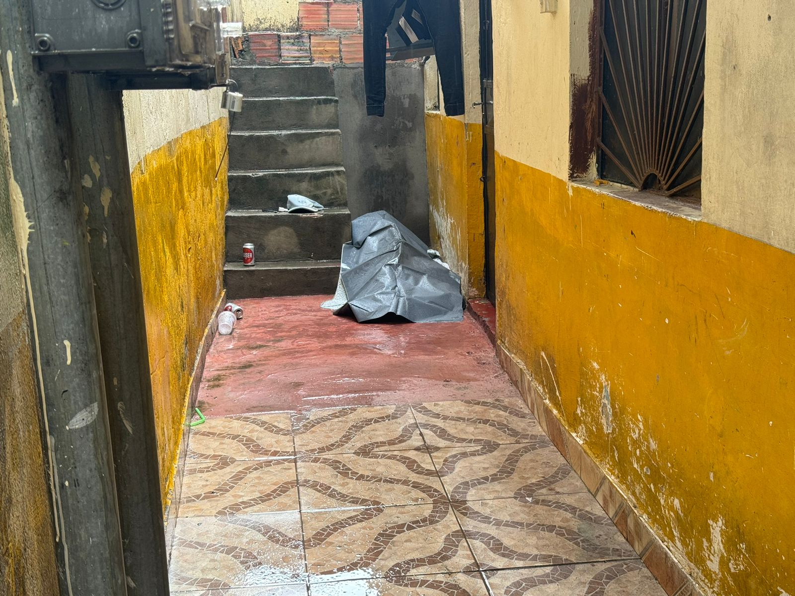 Foto: Neto Silva/Portal do Holanda