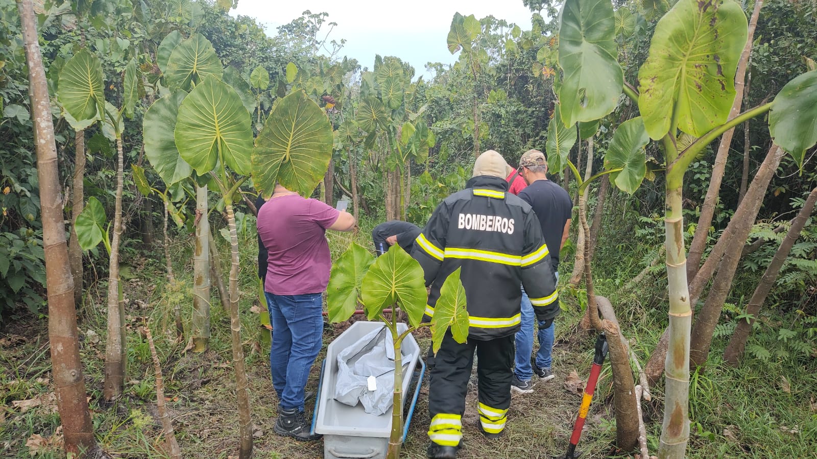 Foto: Divulga&ccedil;&atilde;o