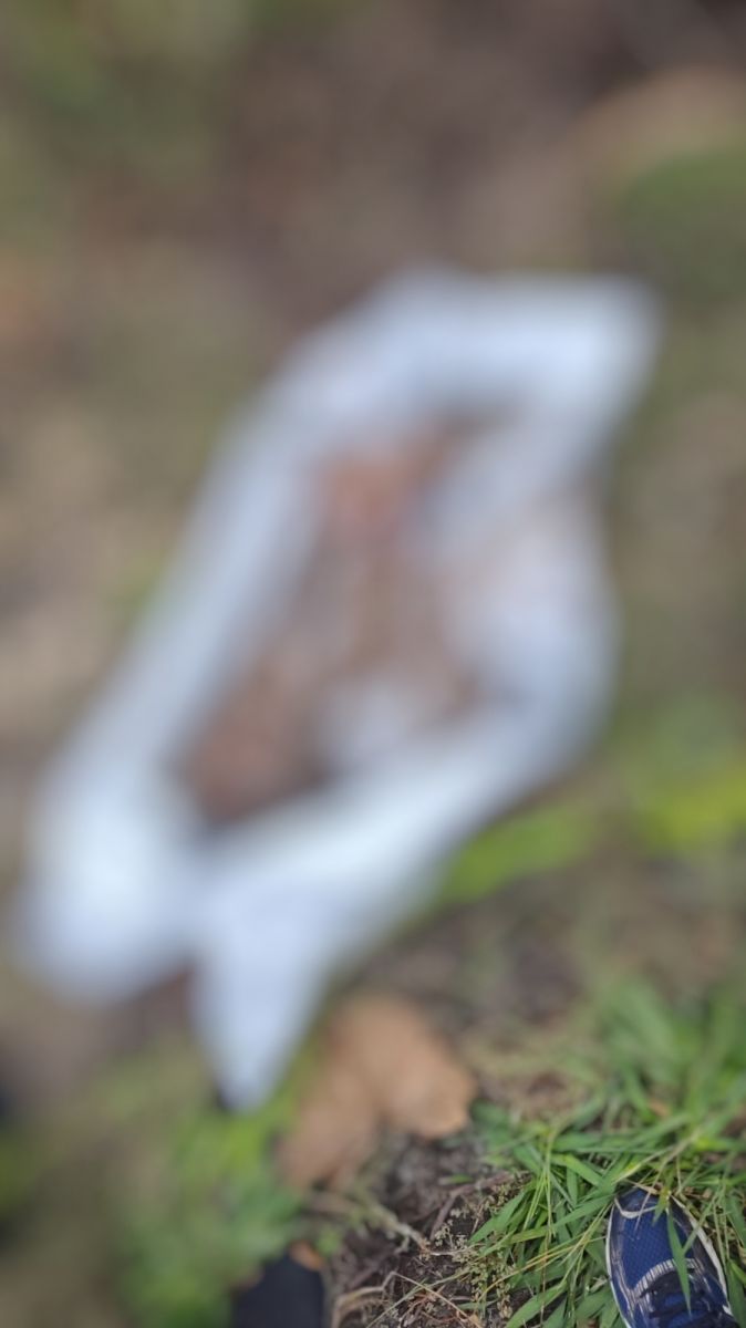 Foto: Divulga&ccedil;&atilde;o