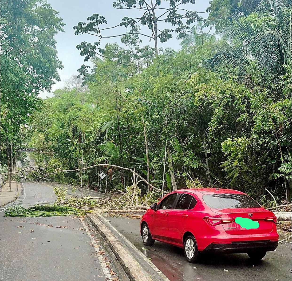 Foto: Divulga&ccedil;&atilde;o/Ufam