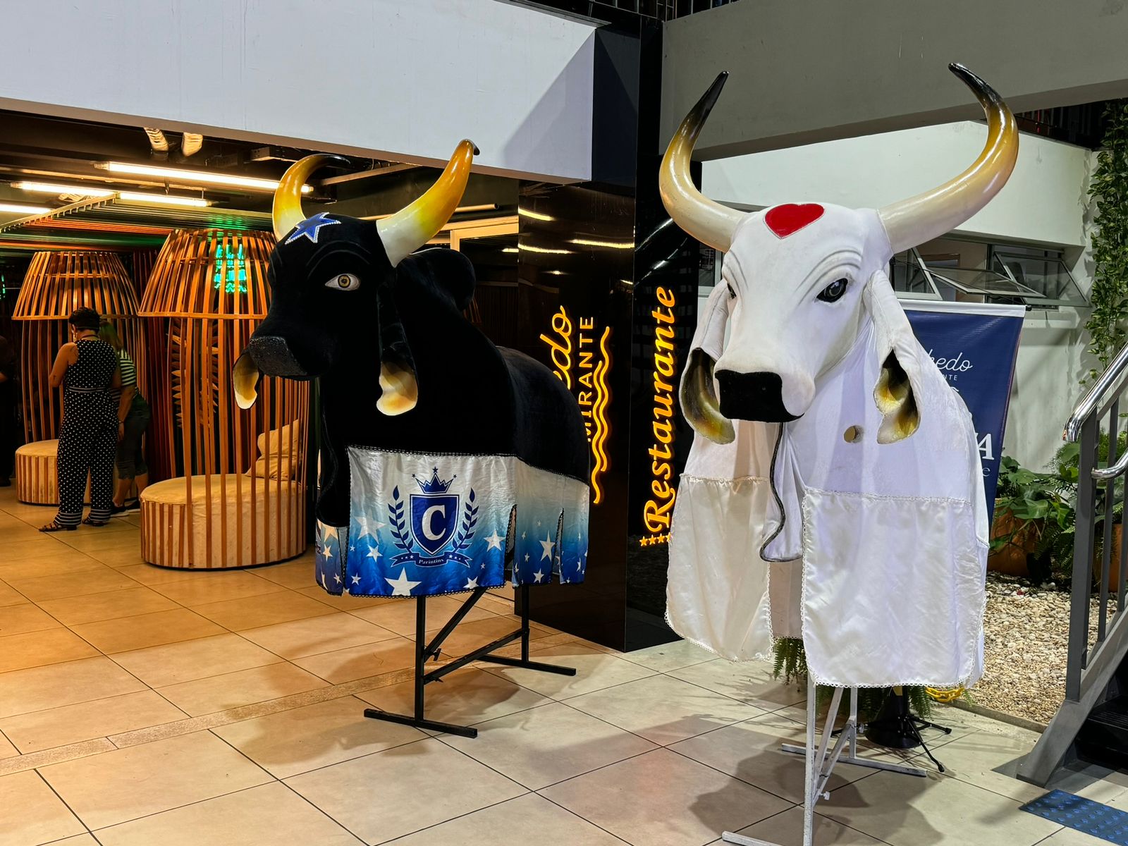 Foto: Divulga&ccedil;&atilde;o