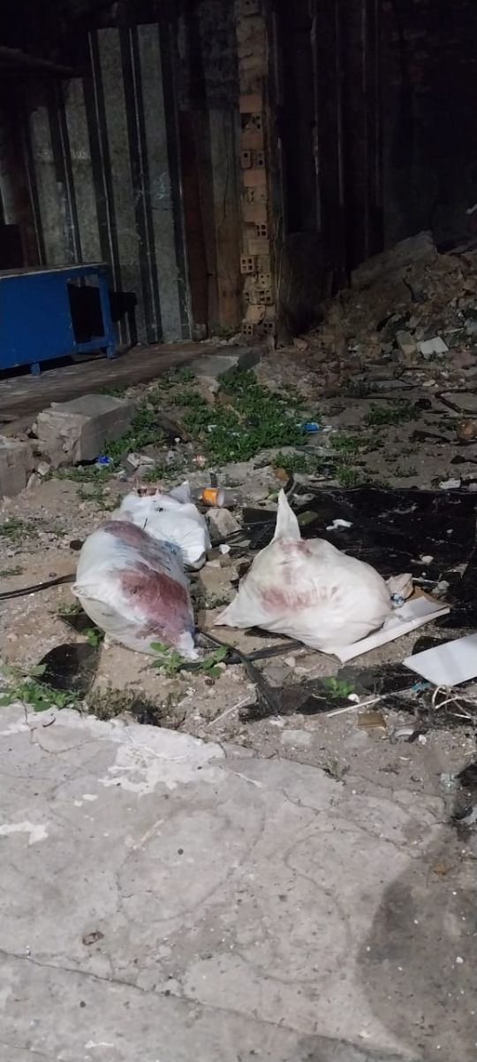 Foto: Divulga&ccedil;&atilde;o