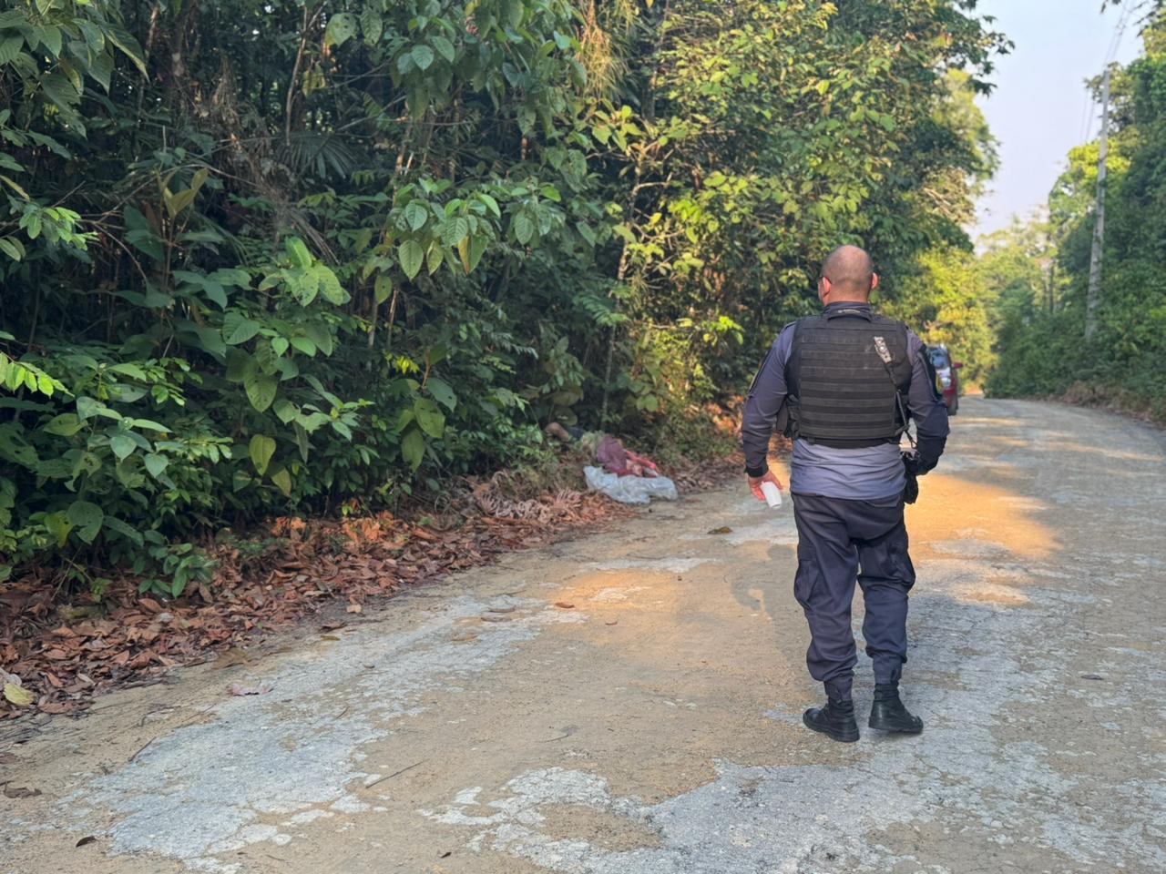 Foto: Neto Silva/Portal do Holanda