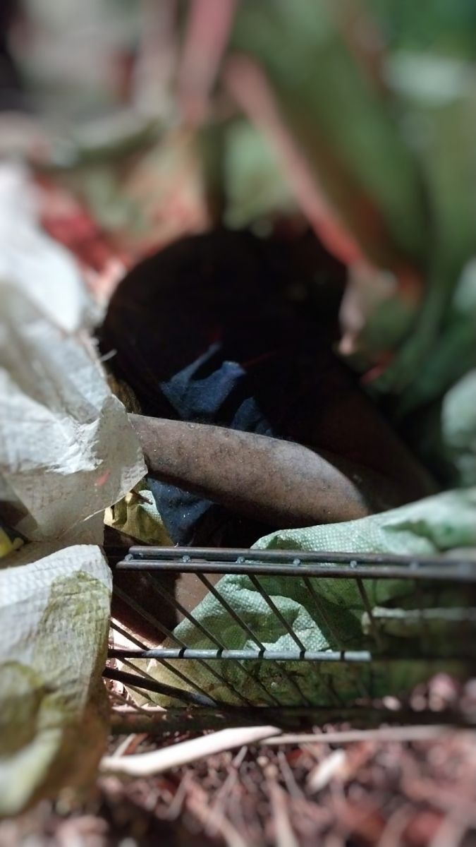 Foto: Divulga&ccedil;&atilde;o