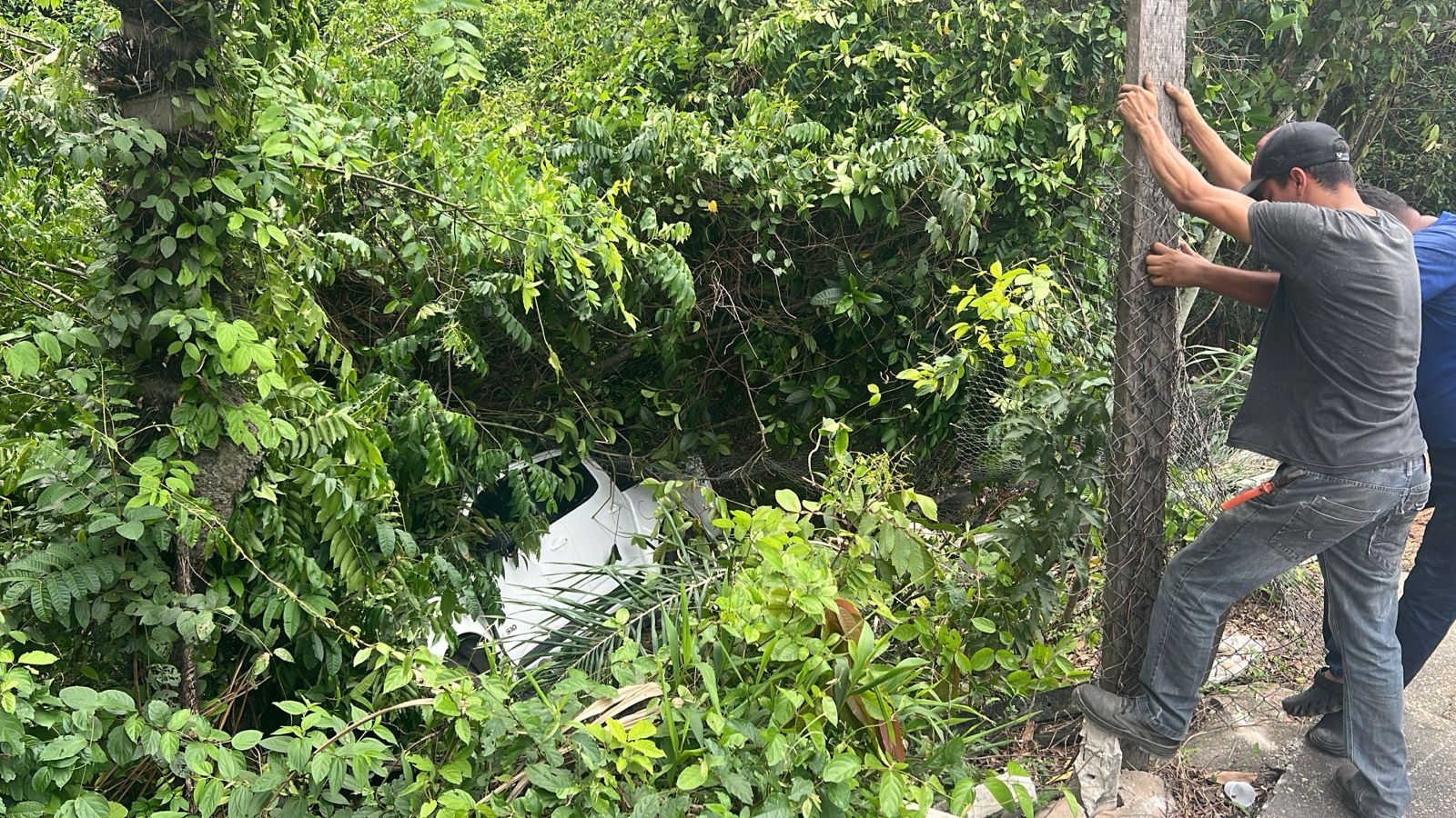 Foto: Divulga&ccedil;&atilde;o