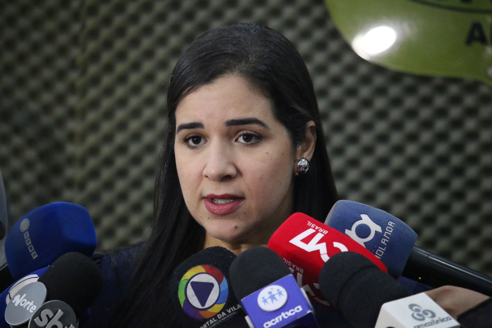 Delegada Mar&iacute;lia Campelo - Foto: Jander Robson/Portal do Holanda