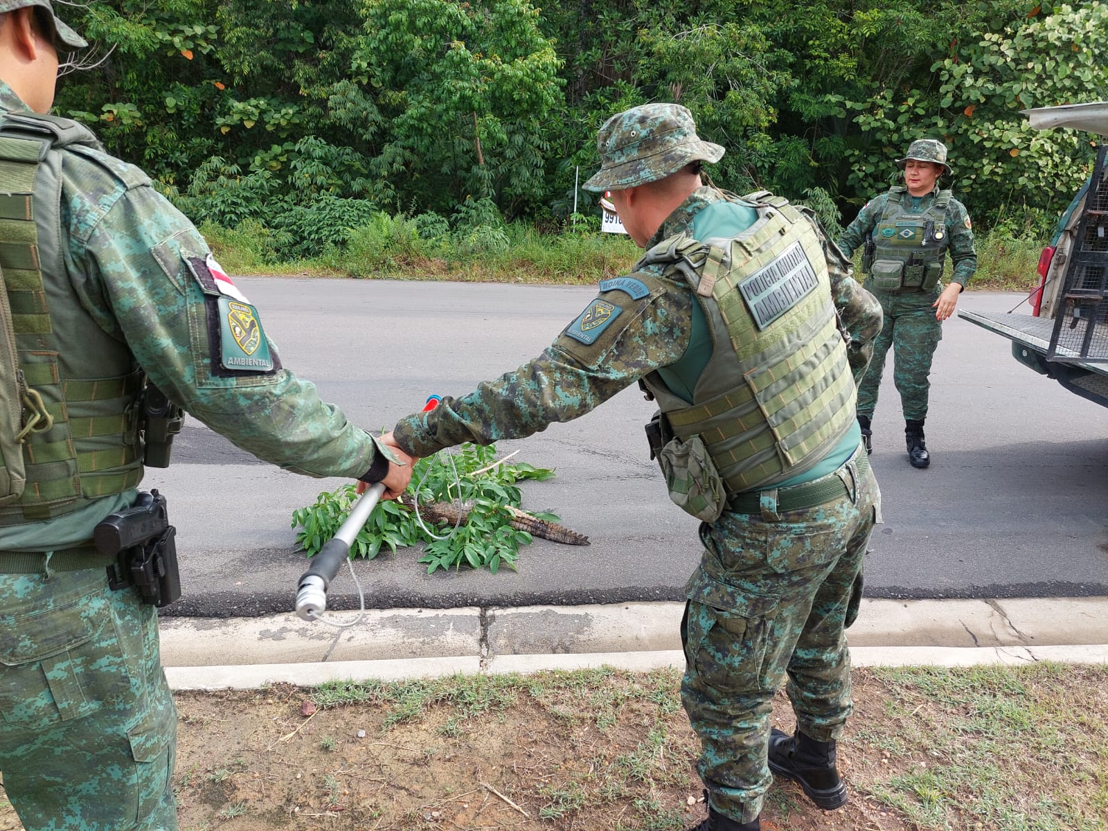 Foto: Divulga&ccedil;&atilde;o