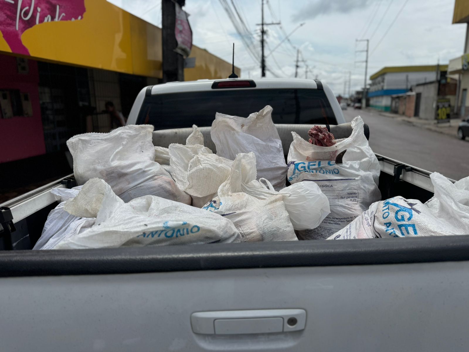 Foto: Neto Silva/ Portal do Holanda