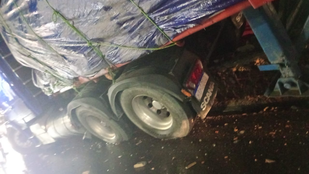 Foto: Divulga&ccedil;&atilde;o