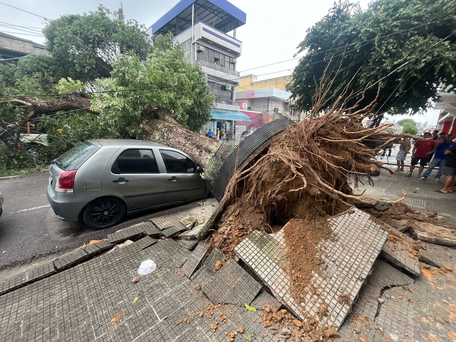 Foto: Jander Robson/Portal do Holanda