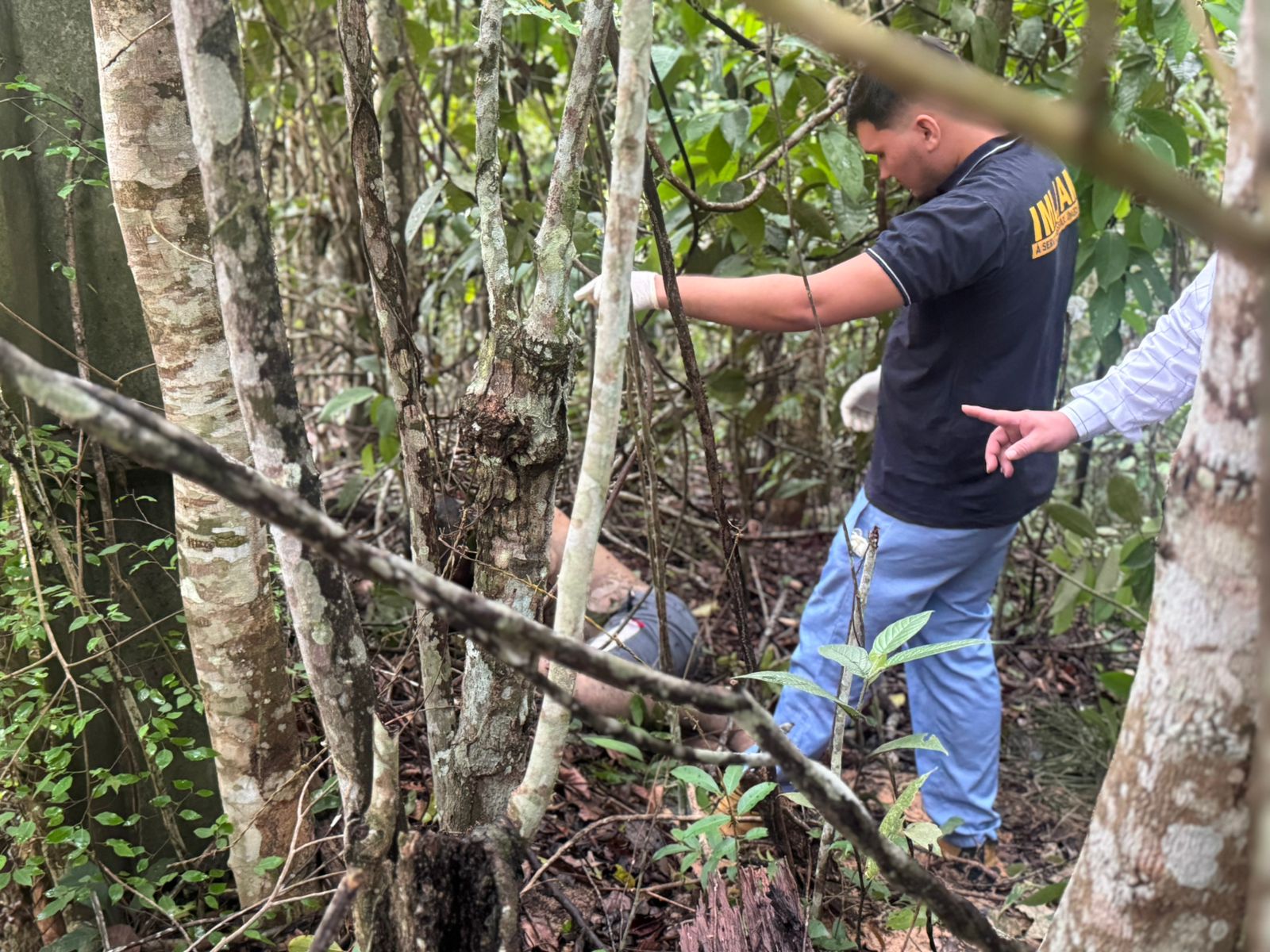 Foto: Neto Silva / Portal do Holanda
