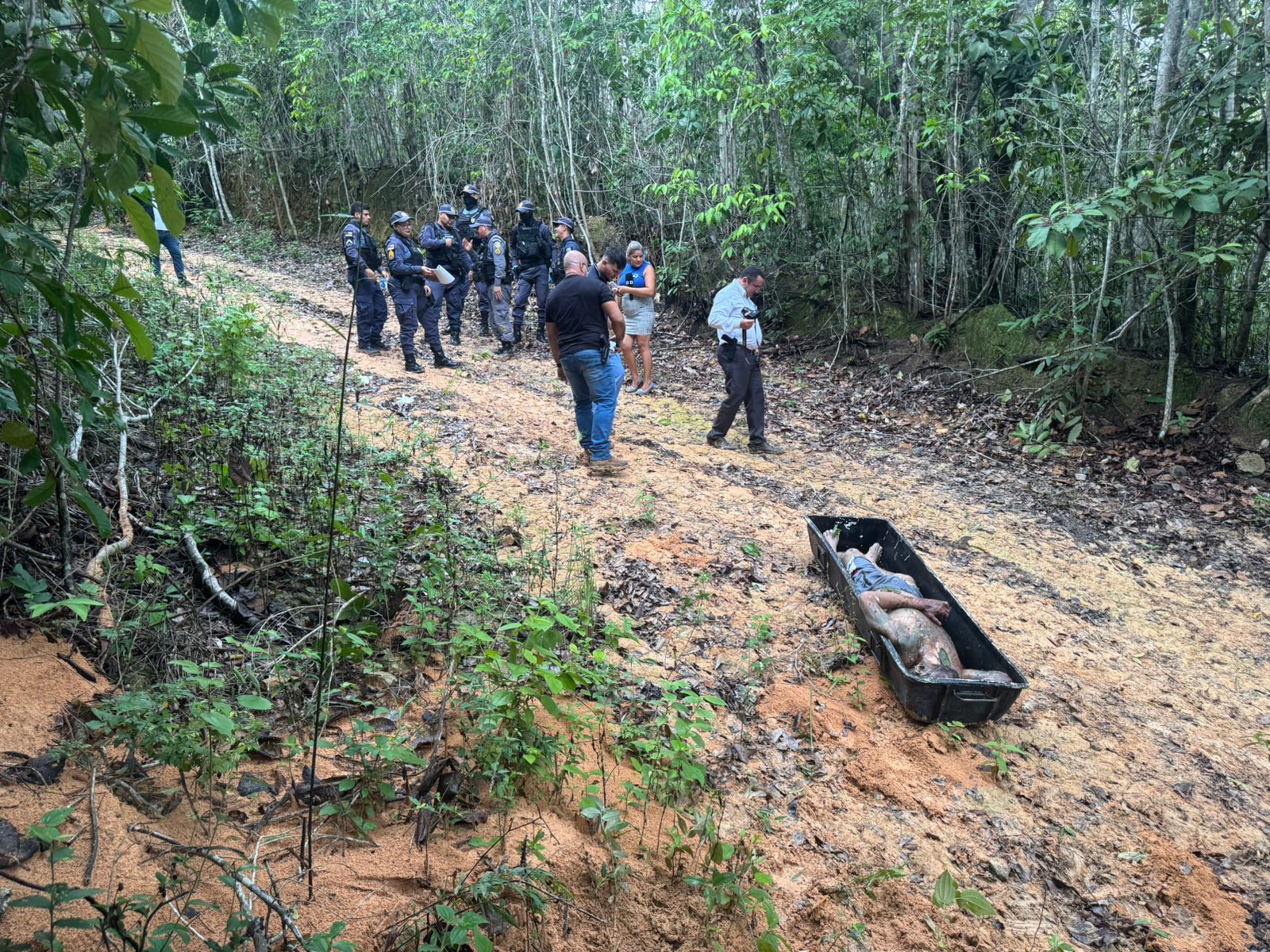 Foto: Neto Silva / Portal do Holanda