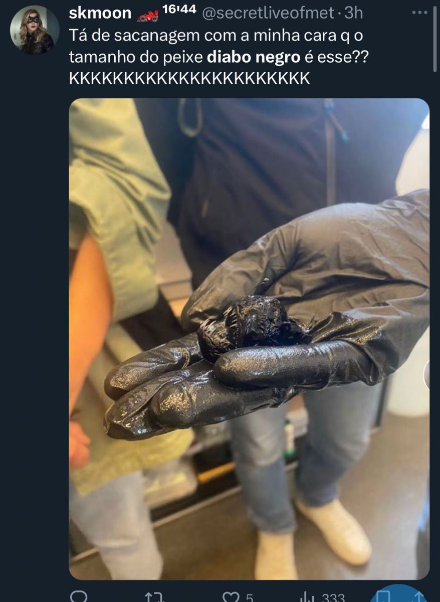 Foto: Reprodução / X