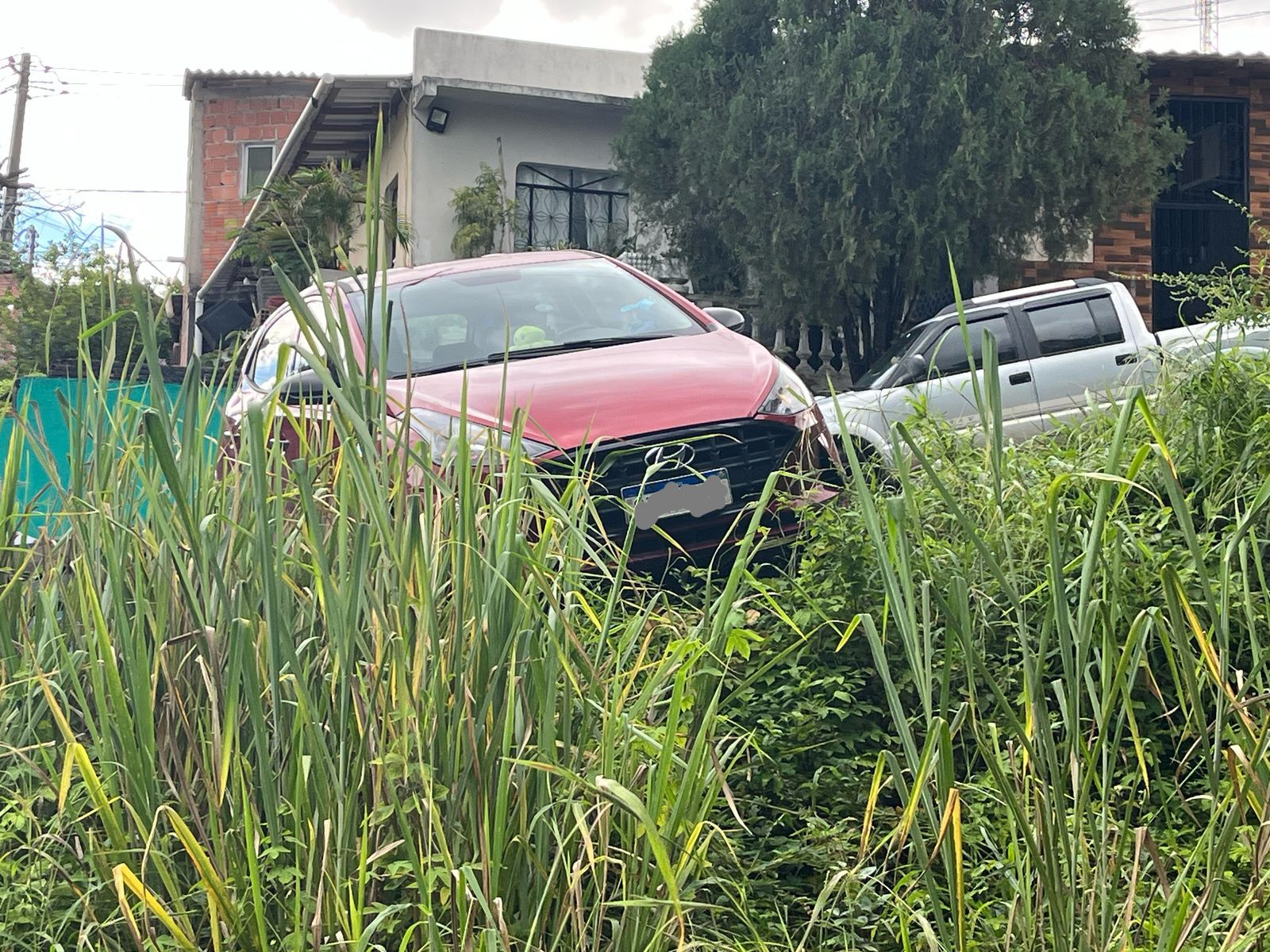 Foto: Jander Robson/ Portal do Holanda