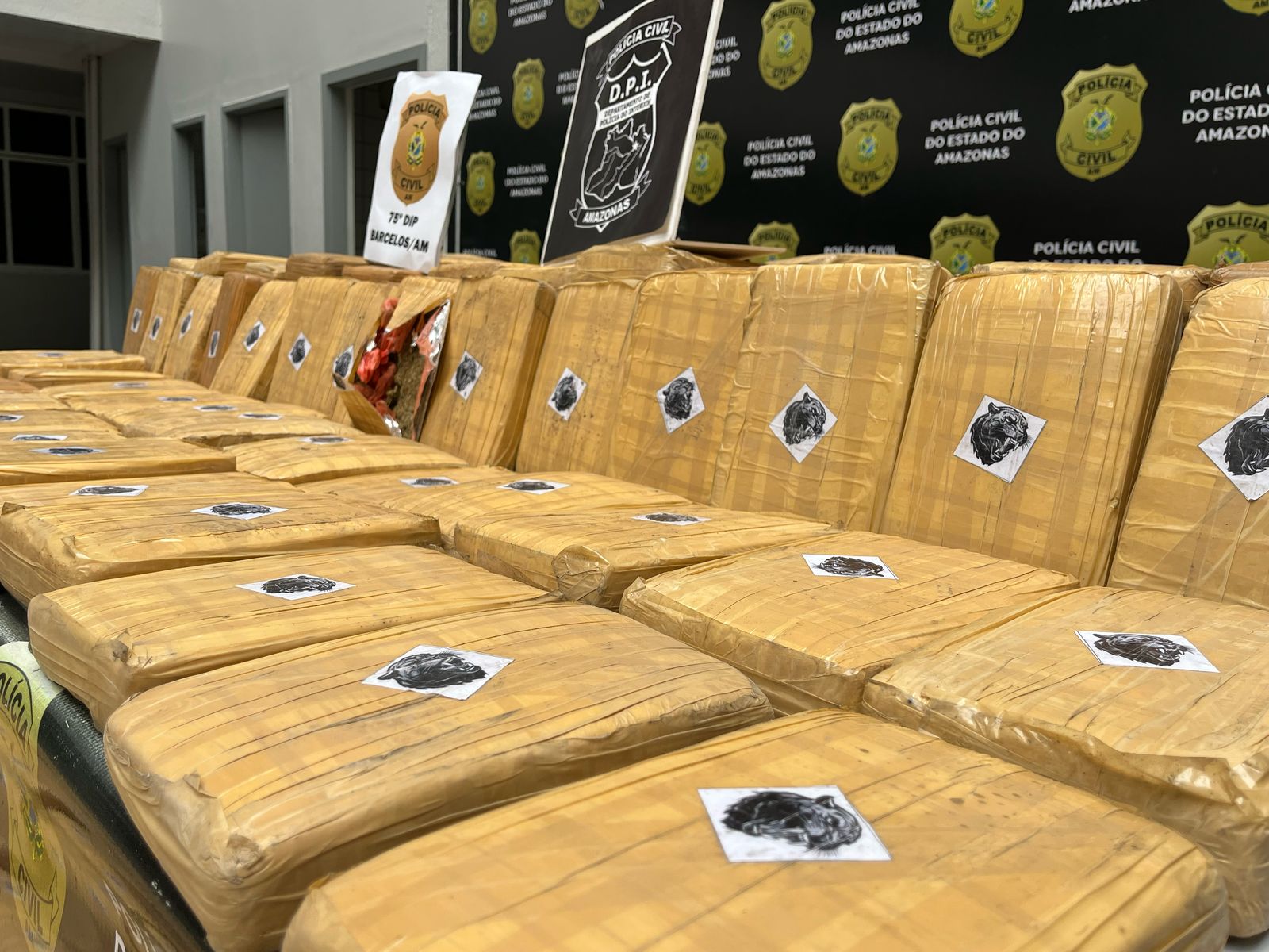 Foto: Jander Robson/Portal do Holanda