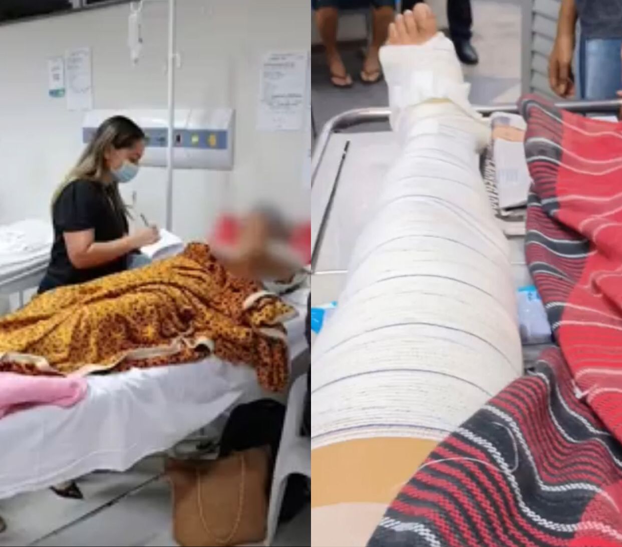 Imagens: Reprodu&ccedil;&atilde;o