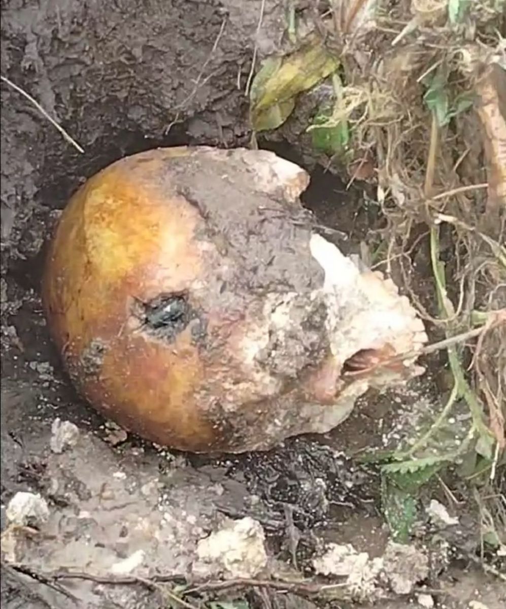 Foto: Reprodu&ccedil;&atilde;o