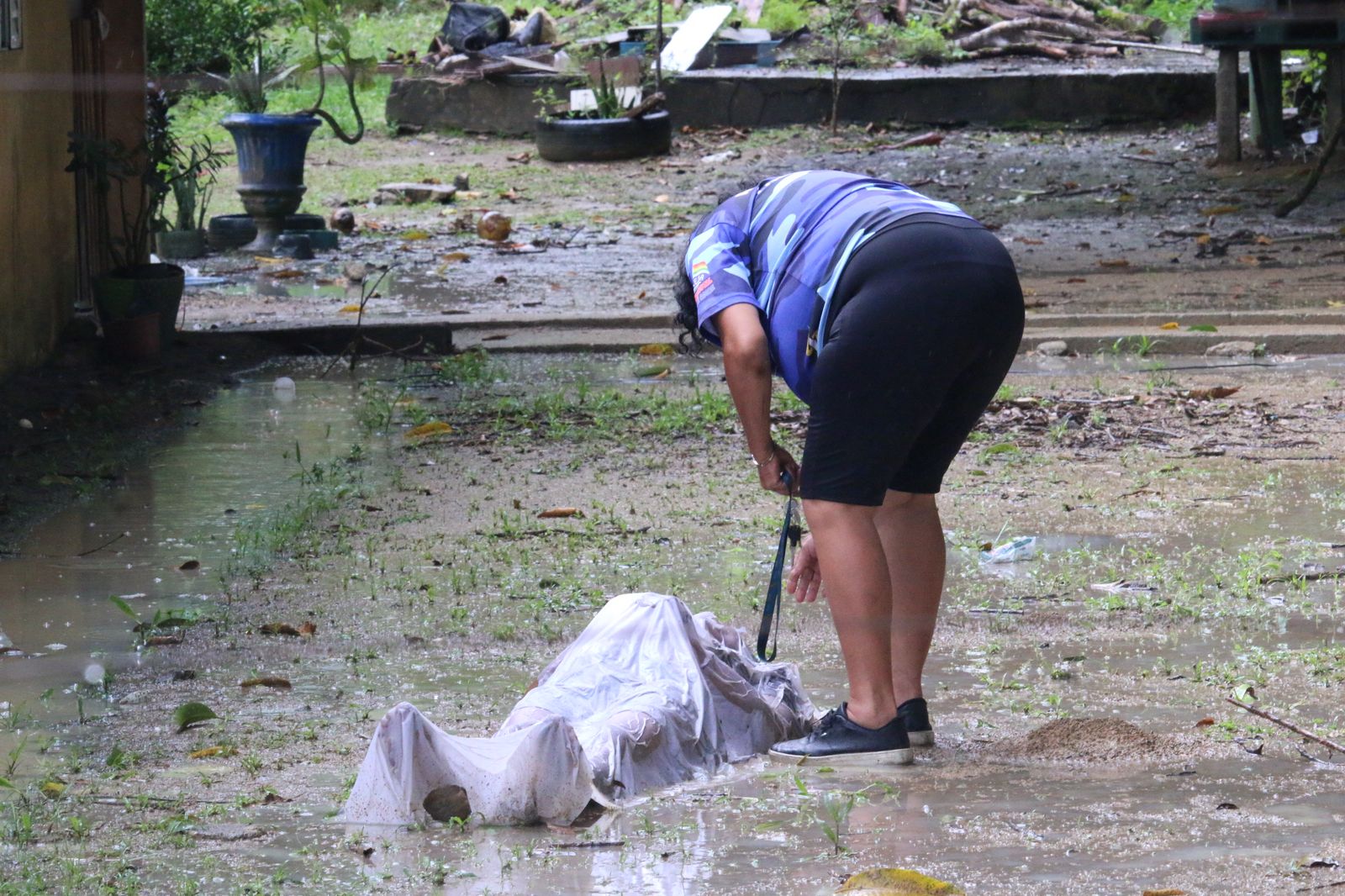 Foto: Jander Robson/Portal do Holanda