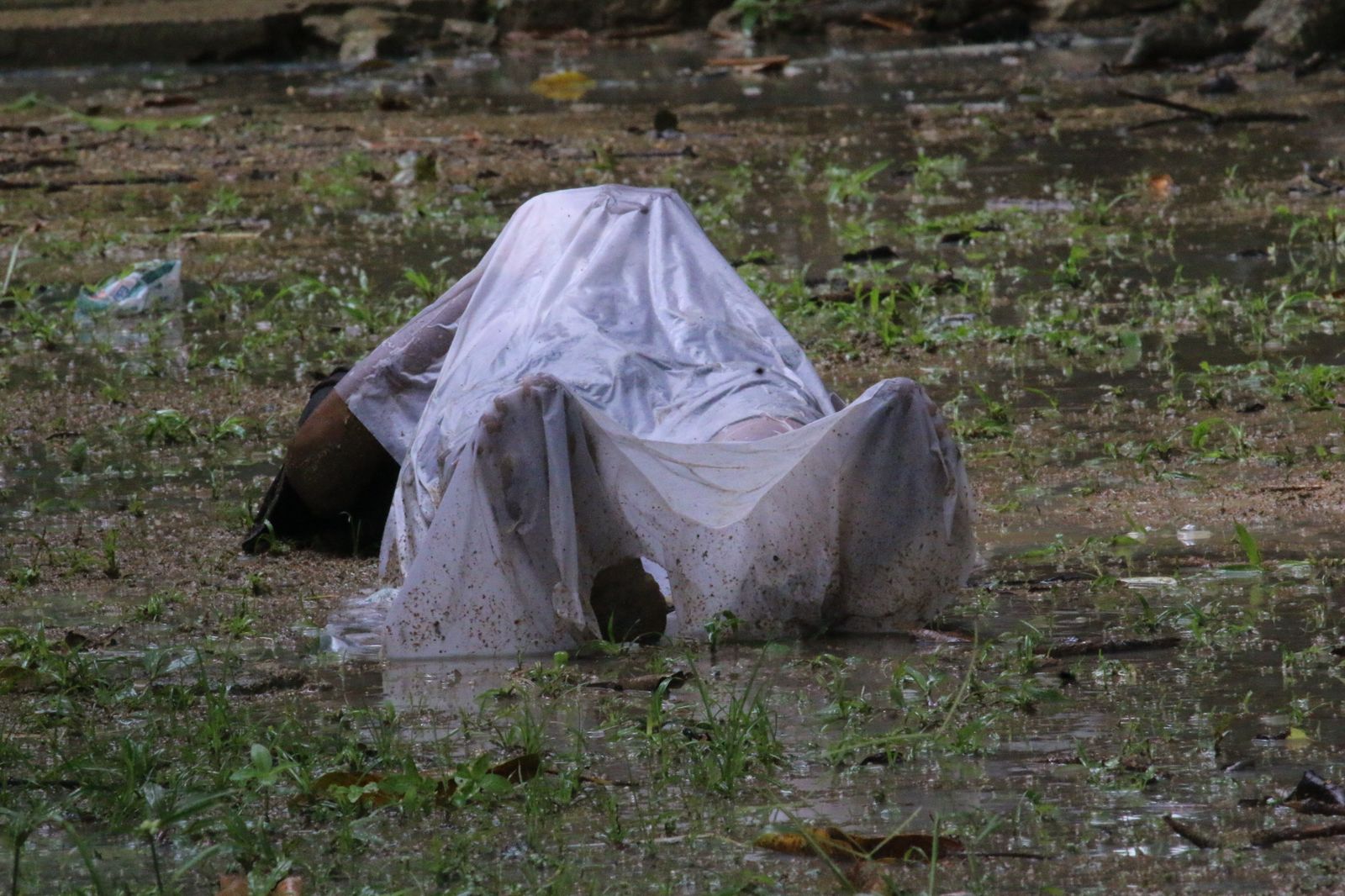 Foto: Jander Robson/Portal do Holanda