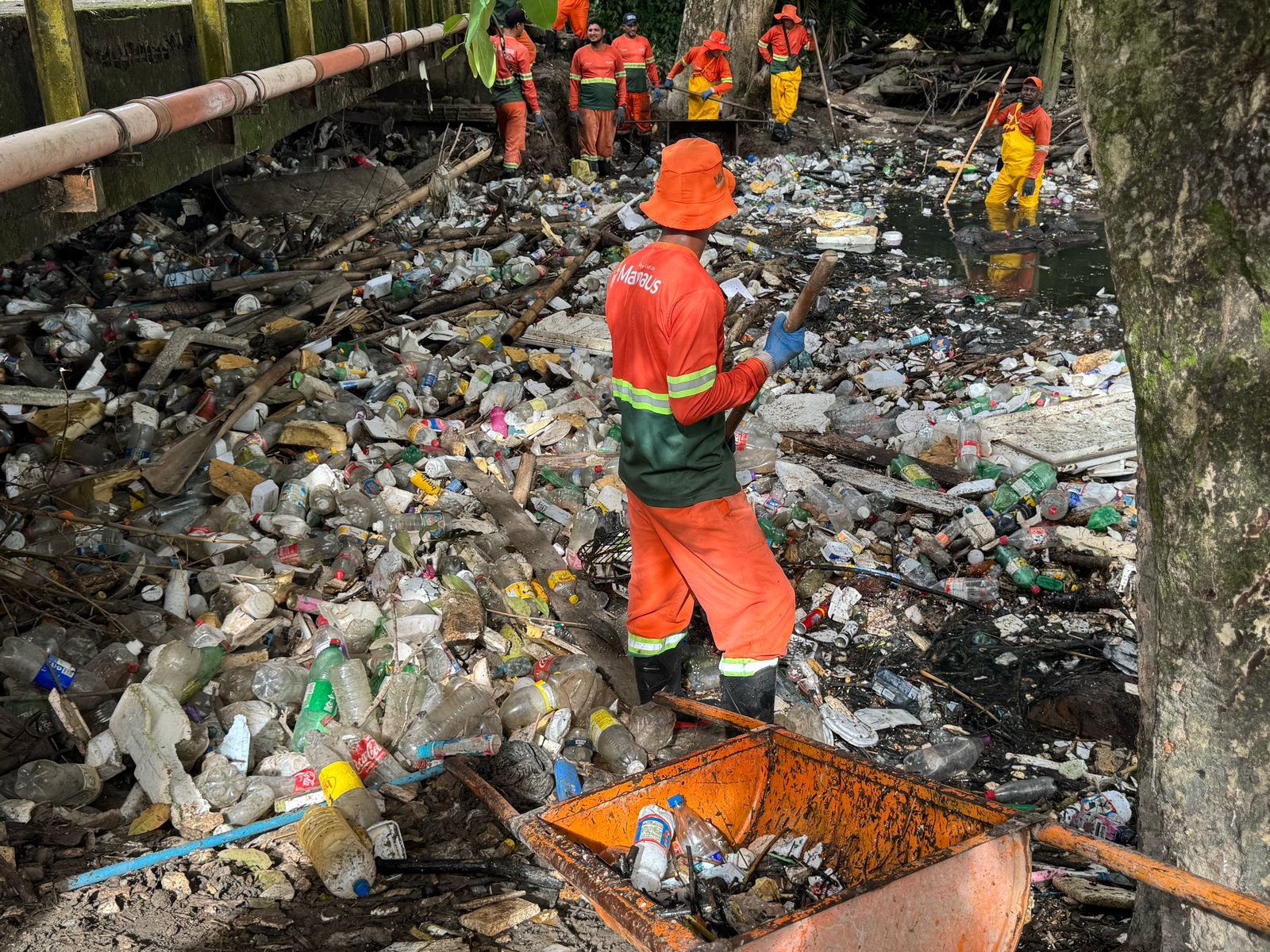 Foto: Neto Silva/Portal do Holanda