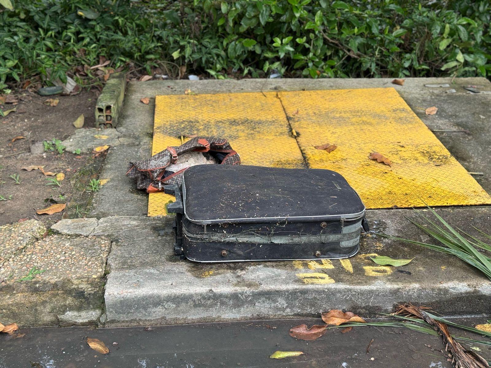 Foto: Neto Silva/Portal do Holanda