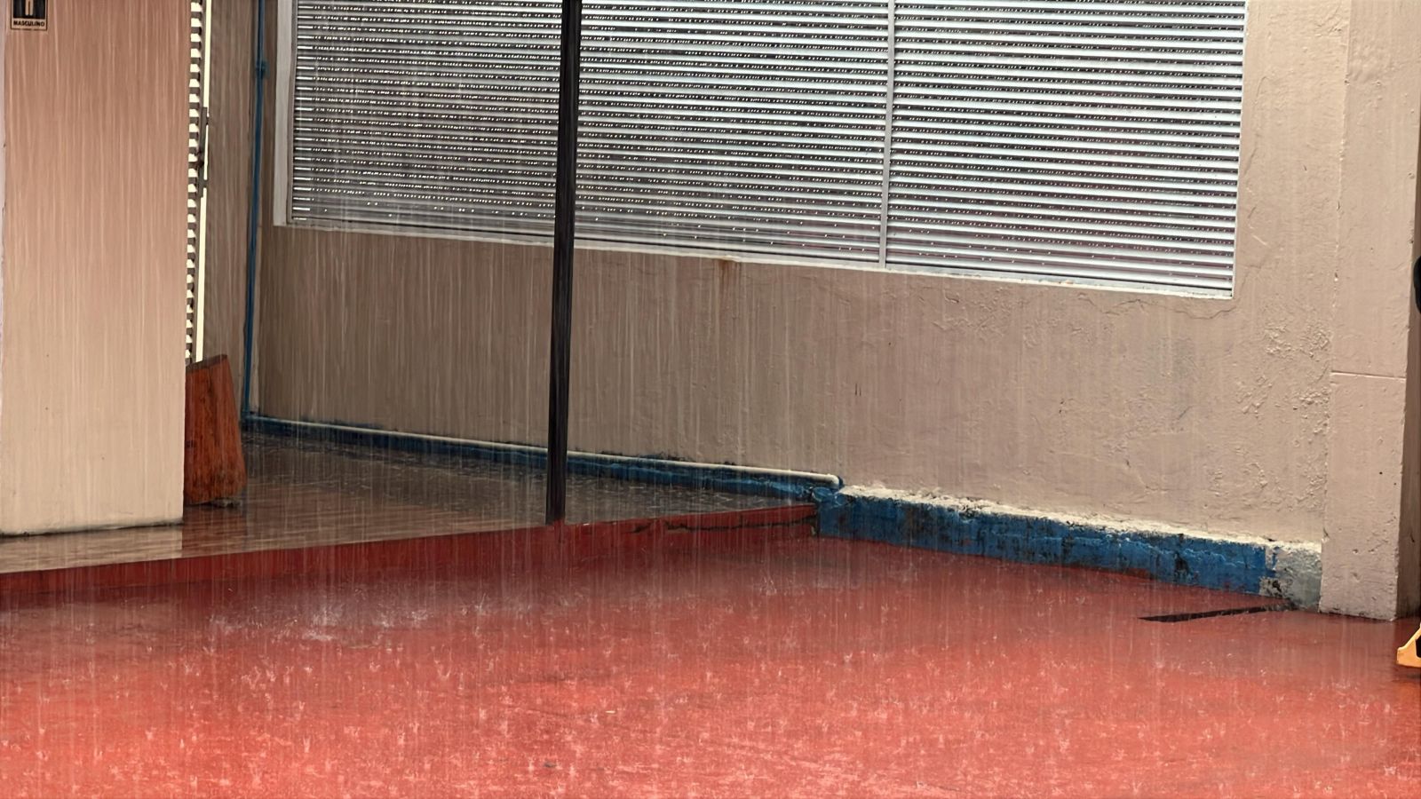 Foto: Paulo Rabelo/Portal do Holanda