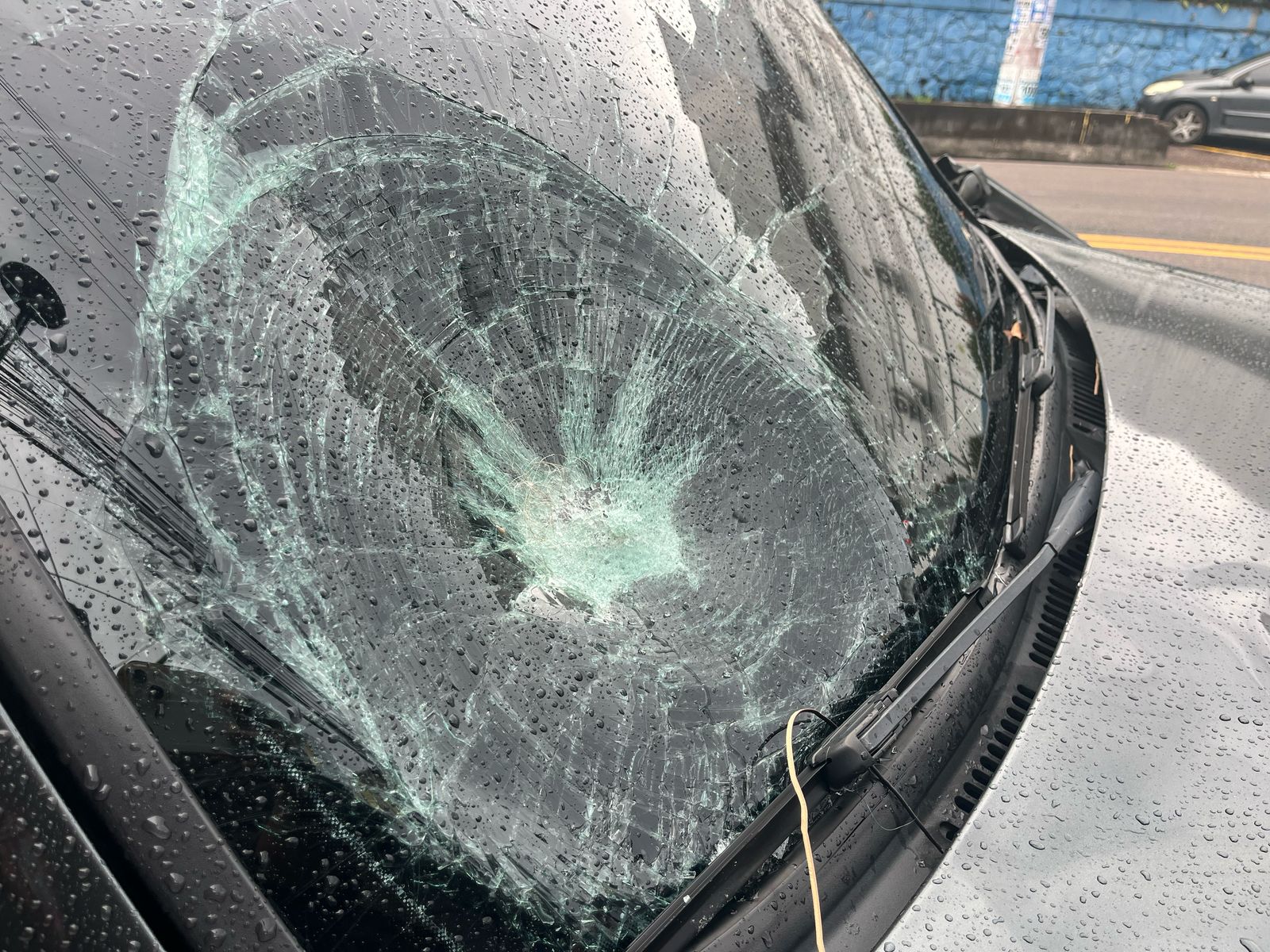 Foto: Jander Robson/Portal do Holanda