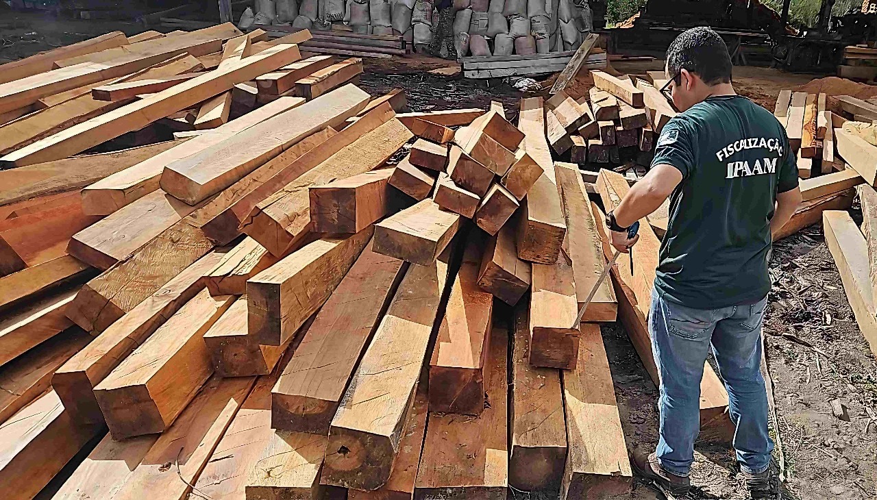 Foto: Divulga&ccedil;&atilde;o/Ipaam