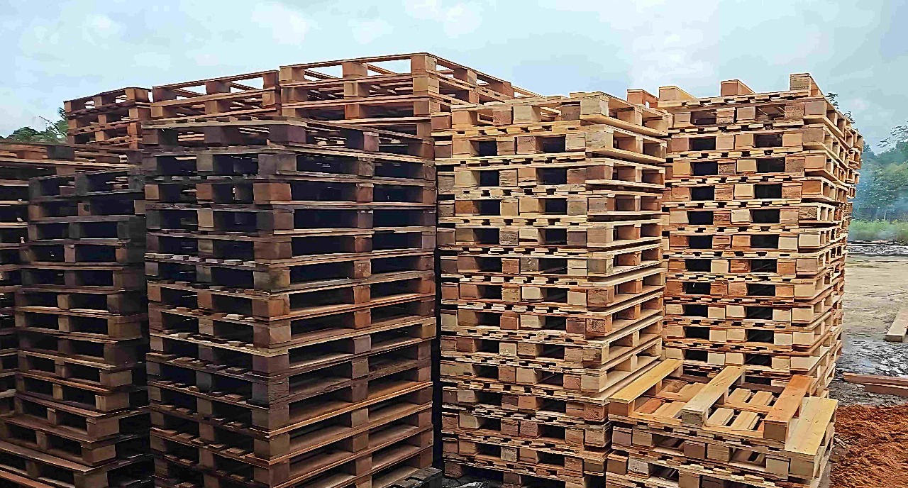 Foto: Divulga&ccedil;&atilde;o/Ipaam