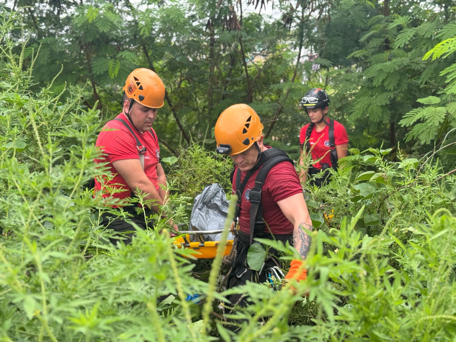 Foto: Neto Silva/Portal do Holanda
