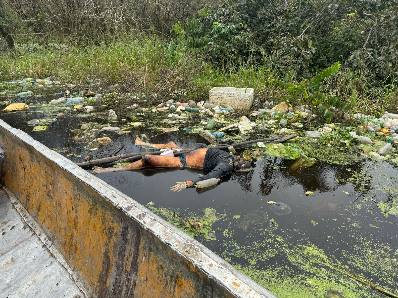 Foto: Neto Silva/Portal do Holanda