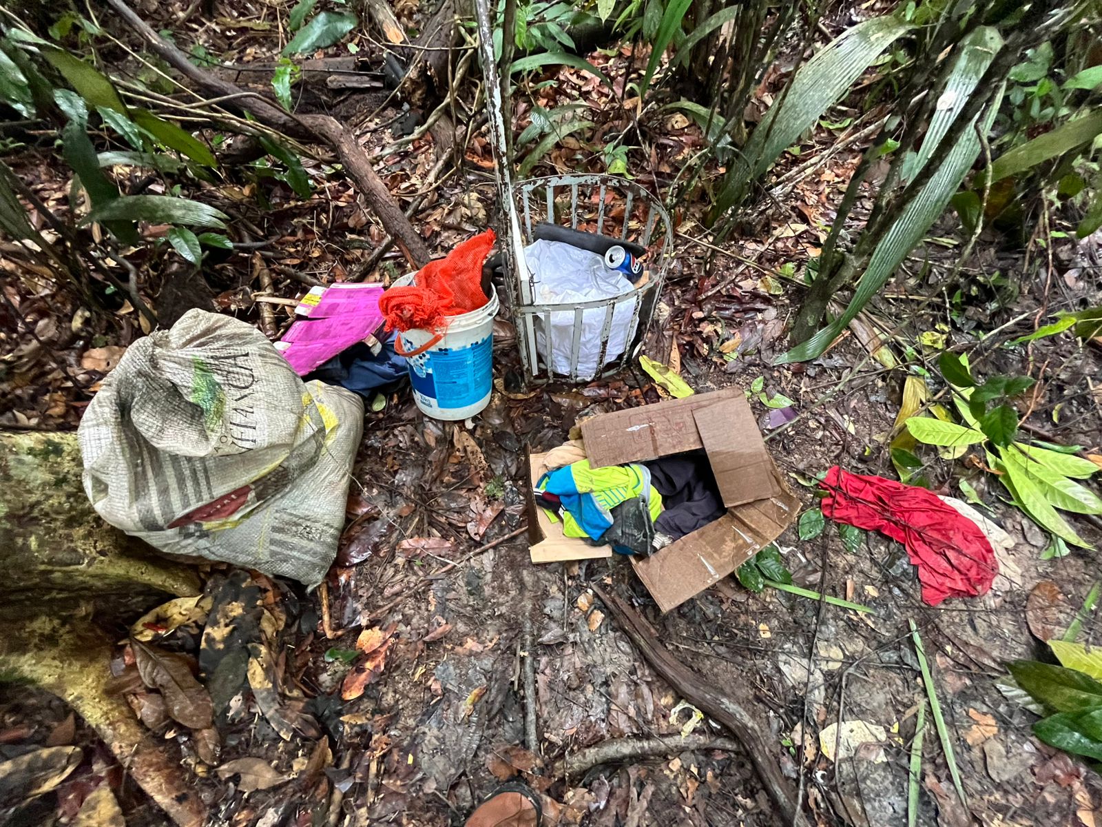 Foto: Jander Robson/Portal do Holanda