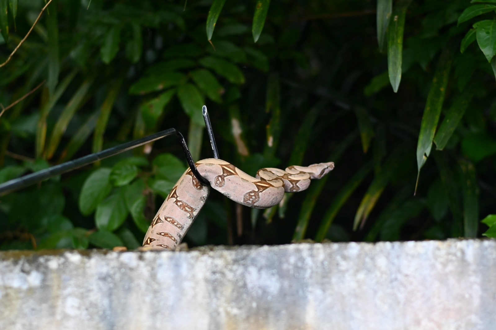 Foto: Divulga&ccedil;&atilde;o