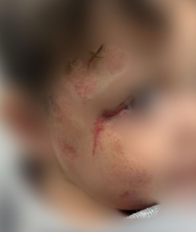 Foto: Divulga&ccedil;&atilde;o