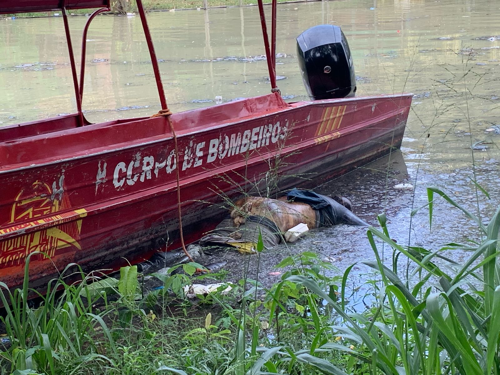 Foto: Caio Guarlotte/ Portal do Holanda