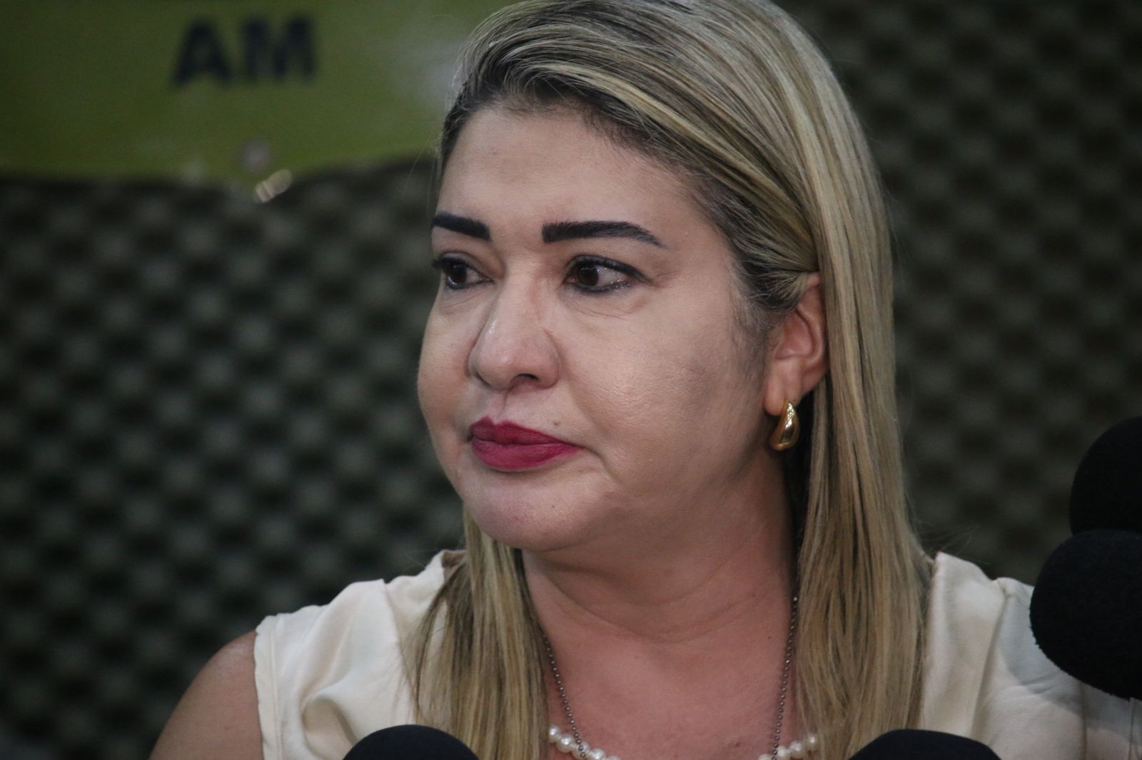 Delegada Roberta Merly - Foto: Jander Robson/Portal do Holanda